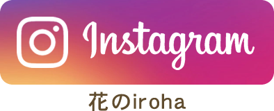 花のiroha